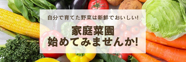 家庭菜園を始めよう