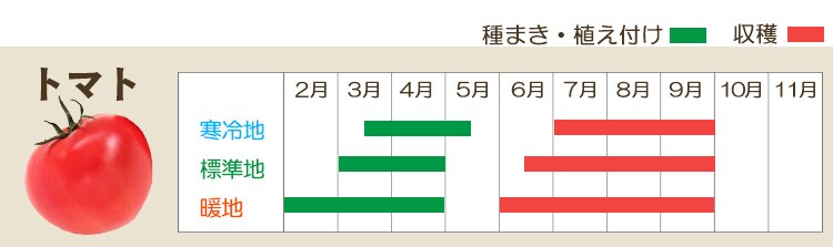 トマト