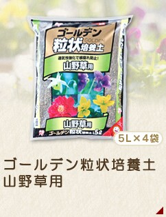 S[f|{y@R쑐p
