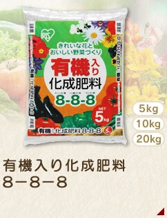 L@艻엿8-8-8