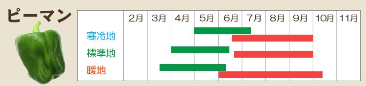 s[}