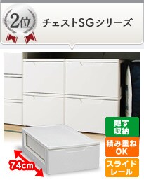 �`�F�X�gSG�V���[�Y