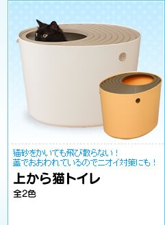 �ォ��L�g�C��