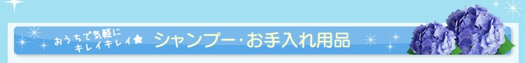 �V�����v�[�E�������p�i