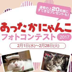 ���������ɂ�񂱃t�H�g�R���e�X�g2017 ���܎Ҕ��\