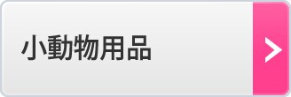 �������p�i