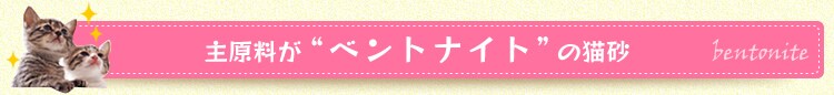 �匴����&ldquo;�x���g�i�C�g&rdquo;�̔L��