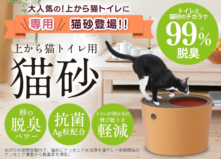 ォLgCpL