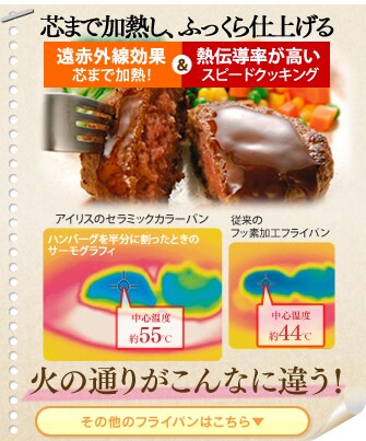c܂ŉMAӂdグ