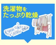 󕨂Ղ芣