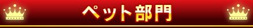 �y�b�g