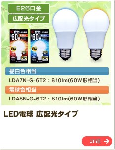 LED�d�� �L�z���^�C�v