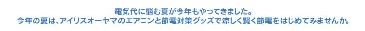 �A�C���X�I�[���}�̐ߓd�΍�O�b�Y�ŗ����������ߓd