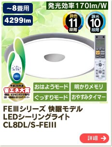 FEVV[Y f@CL8DL/S-FEIII