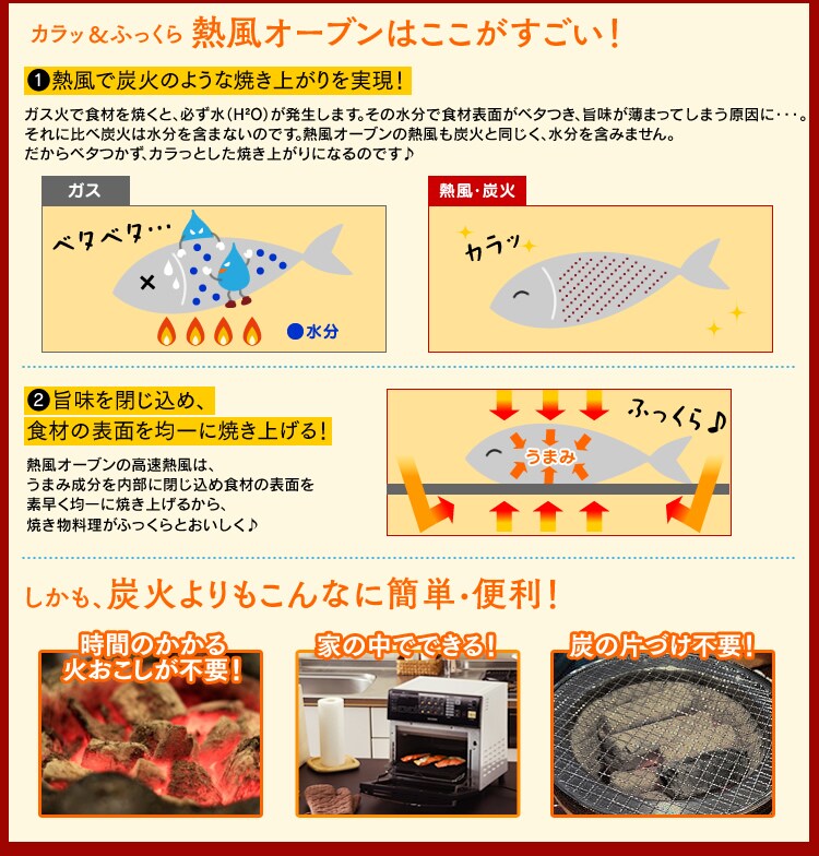 �M���@�\�@���������̔閧�I
