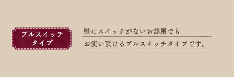 �v���X�C�b�`�^�C�v