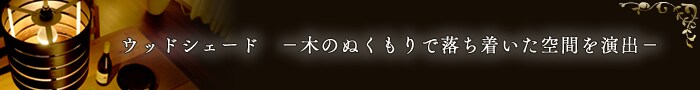 EbhVF[h@[؂̂ʂŗԂo[

