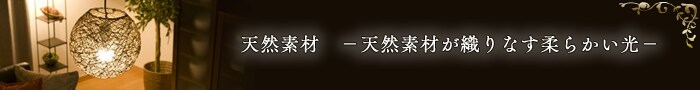 VRfށ@[VRfނDȂ_炩[