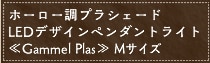 z[[vVF[h LEDfUCy_gCgGammmel Plas MTCY S5F