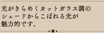 A~ LEDfUCy_gCg Gammel S3F