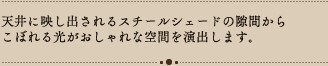 4V[OCg CC-SPOT-W4