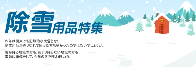 ����p�i���W