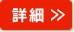 �ڍ�