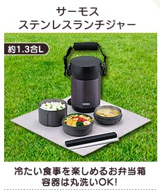�T�[���X�X�e�����X�����`�W���[
