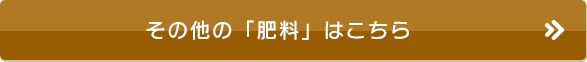 ̑̔엿͂
