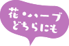 ԁEn[uɂ