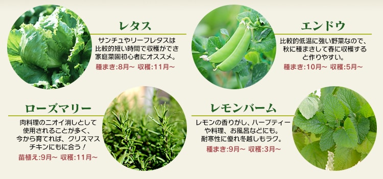 ^XEGhEE[Y}[Eo[