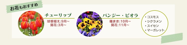 ̑HɌ