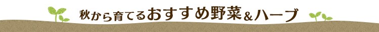 HĂ邨ߖ؁En[uE