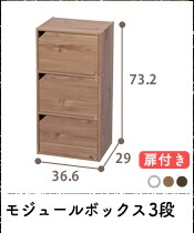 ���W���[���{�b�N�X3�i