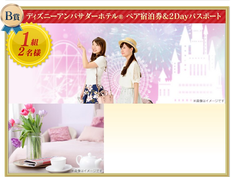 �f�B�Y�j�[�A���o�T�_�[�z�e��R�@�y�A�h����&2Day�p�X�|�[�g