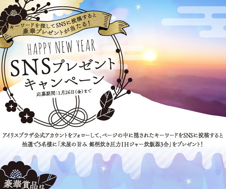 HAPPY NEW YEAR SNSv[gLy[
