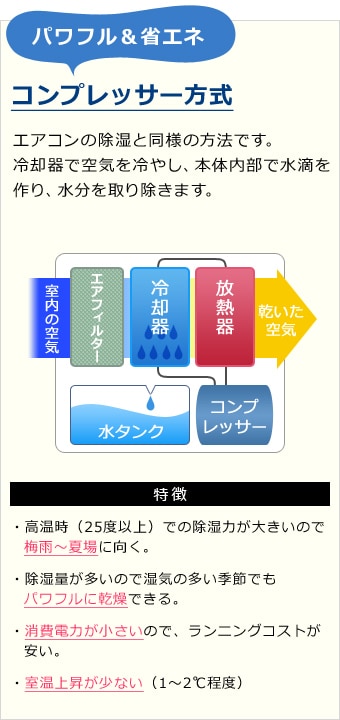 RvbT[