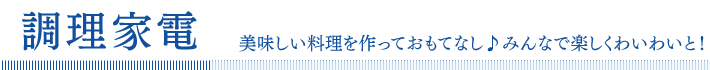 �����Ɠd�E�����p�i