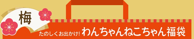�~