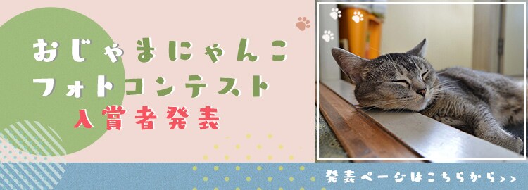 �ɂ�񂱕�