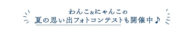 わんこにゃんこのフォトコンテスト