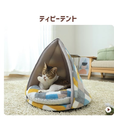ティピーテント