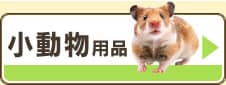 �������p�i
