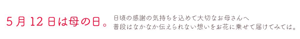 母の日