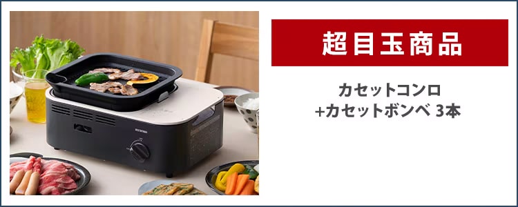 コンパクト＆軽量な低温調理器 おまけでレシピ本付き コンパクト＆軽量な低温調理器 おまけでレシピ本付き