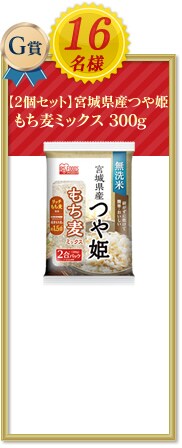  �y2�Z�b�g�z�{�錧�Y��P �������~�b�N�X 300g