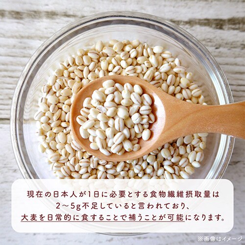 �@�\�� ���Y������ 500g_3