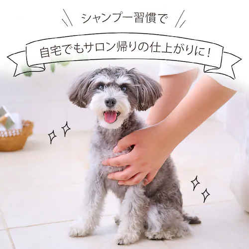 トリートメントインシャンプー ボタニカルソープの香り 400ml P-TS400 ペットシャンプー_3