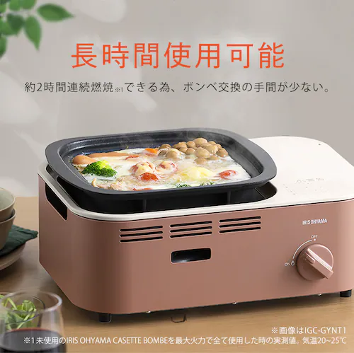 �J�Z�b�g�R���� �����݌v �}���`�Z�b�g IGC-GYNT1-H �`���R�[��_10