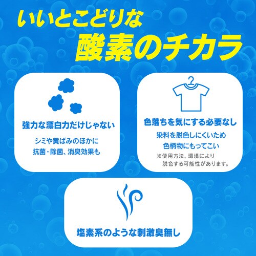 �����Y���� �I�L�V�l�I 500g_6